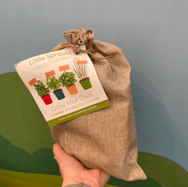 Grow Your Own Herb Garden – Indoor Gardening Kit for Kids